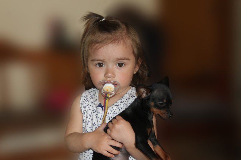 bebe, girl, Nice, domestic, Suck, mammal, hairstyle, Puppy, cute, holding, loving, indoors, child, Girl, one person, Dog, girls, tender, eating, childhood