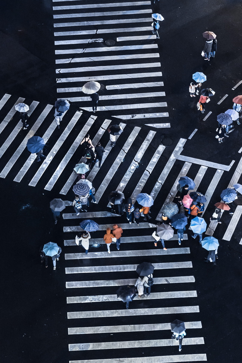 tilt, zebra crossing, umbrella, rain, road marking, group of people, real people, aerial, pedestrian, crossing, group, night, transportation, blue, photography