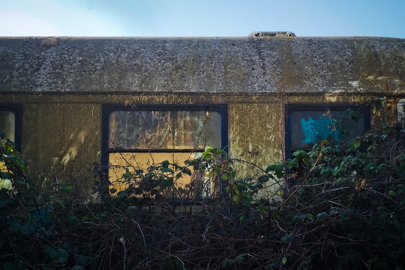 rail traffic, shabby, window, growth, past, no people, passed, weathered, transience, obsolete, neglected, outdoors, remote traffic, decline, nature, graffiti