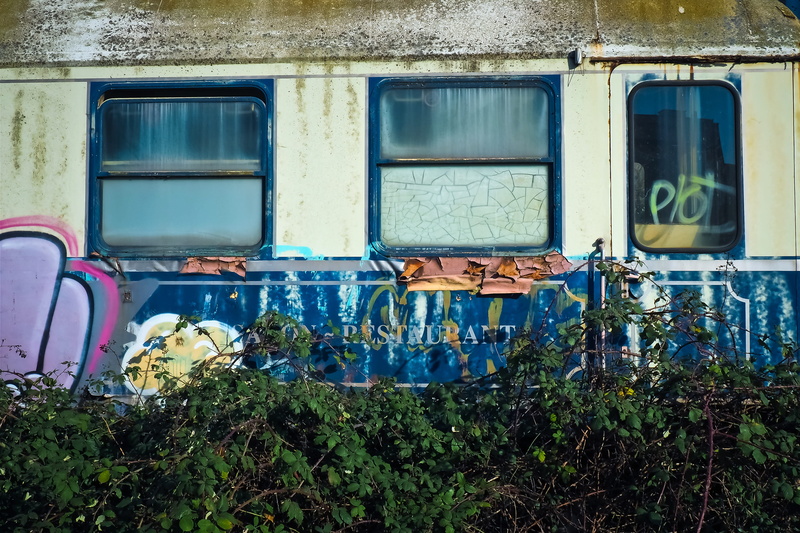 railway, overgrown, rails, dining car, forgotten places, glass - material, transportation, architecture, no people, abandoned places, shabby, nature, forget