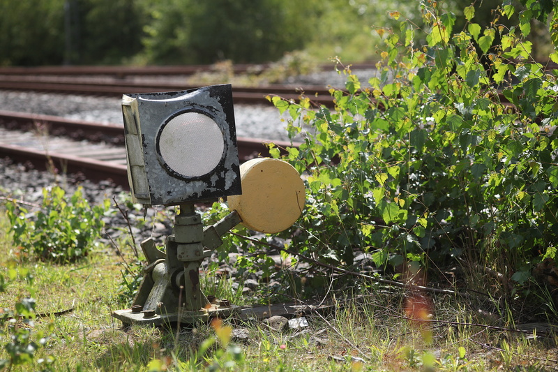 tree, technology, no people, railway station, nature, old worn out, wilderness, signal box, green color, rail transportation, 5K, seemed, land, plant part