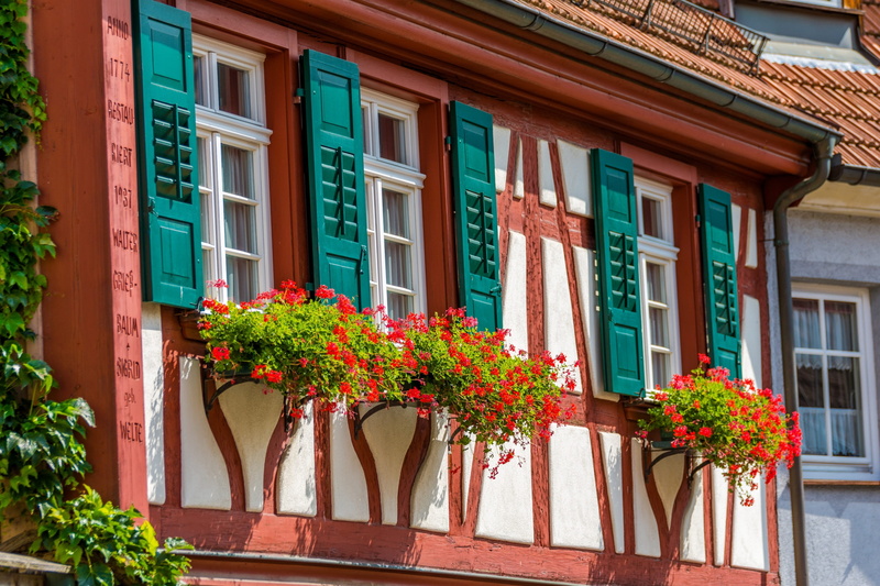 window, flowering plant, residential district, home, flower pot, historically, building, architecture, window box, fachwerkhaus, haslach, nature, flower