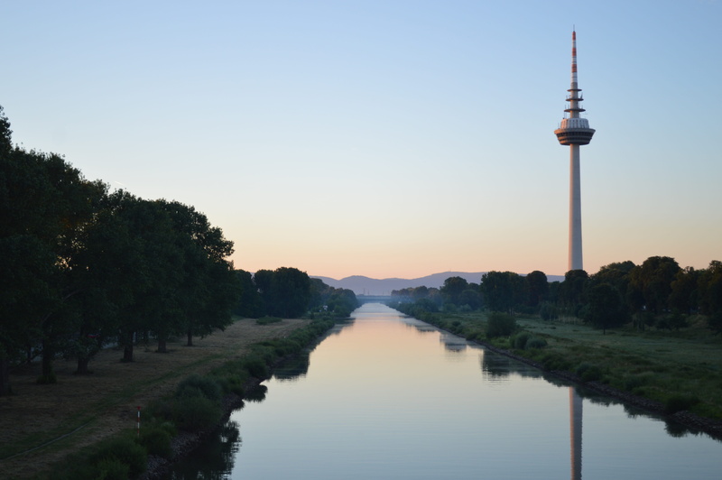 tv tower, nature, communication, travel destinations, 5K, outdoors, travel, building exterior, architecture, tower, global communications, plant, sky