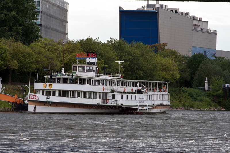 craft, neckar, architecture, waterfront, mannheim, tree, water, passenger craft, mode of transportation, plant, sky, cruise ship, office building exterior