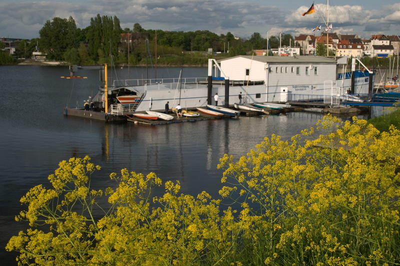 plant, building, nature, moored, yellow, architecture, mode of transportation, flowering plant, sailboat, water, old rhine, day, passenger craft, mannheim