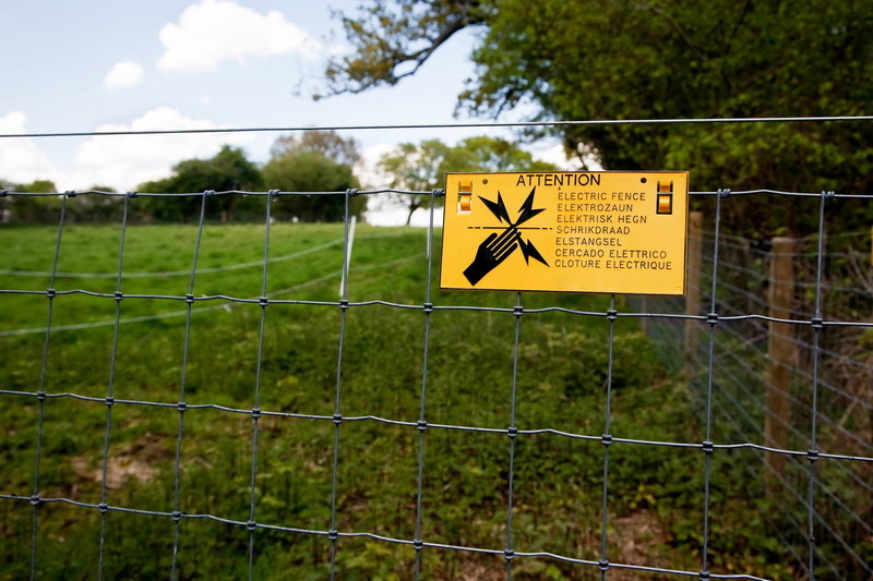 security, communication, voltage, 4K, exclusion, nature, protection, warning Sign, plant, tree, text, wire, field, metal, electricity, danger, grass, chainlink fence