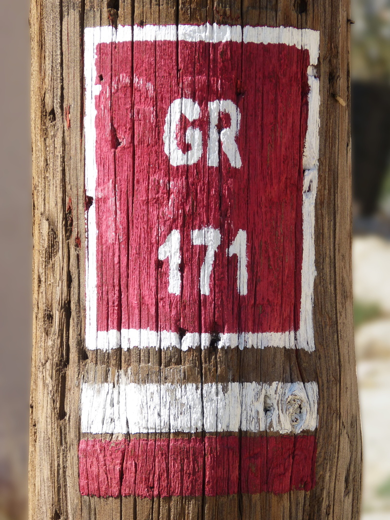 tree, trail, no people, sign, indication, post, 4K, weathered, old, textured, pattern, outdoors, text, trunk, signal, gr, texture, white color, tree trunk