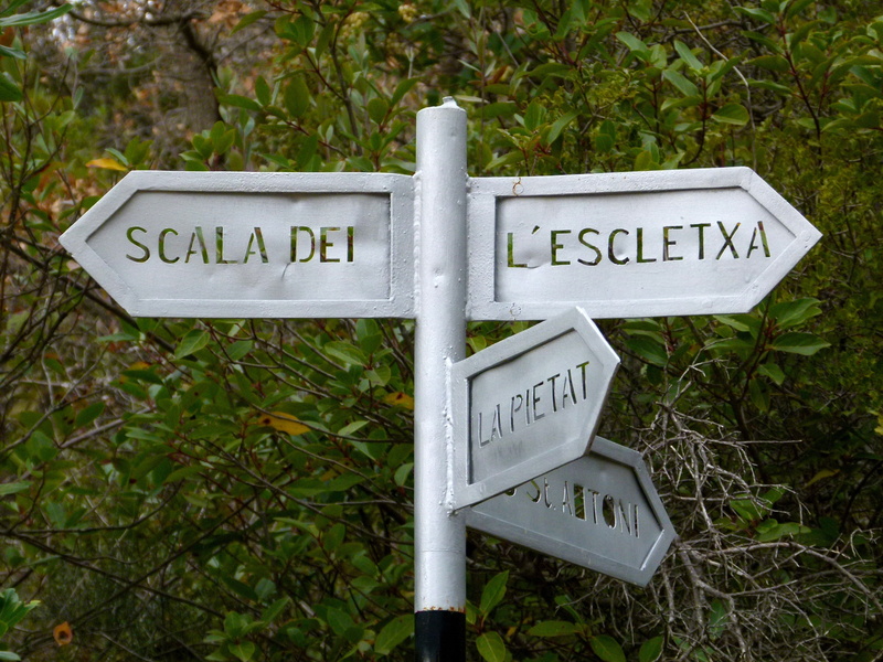 information sign, symbol, close-up, signal, information, day, text, communication, directional sign, no people, message, nature, sign, orientation, outdoors