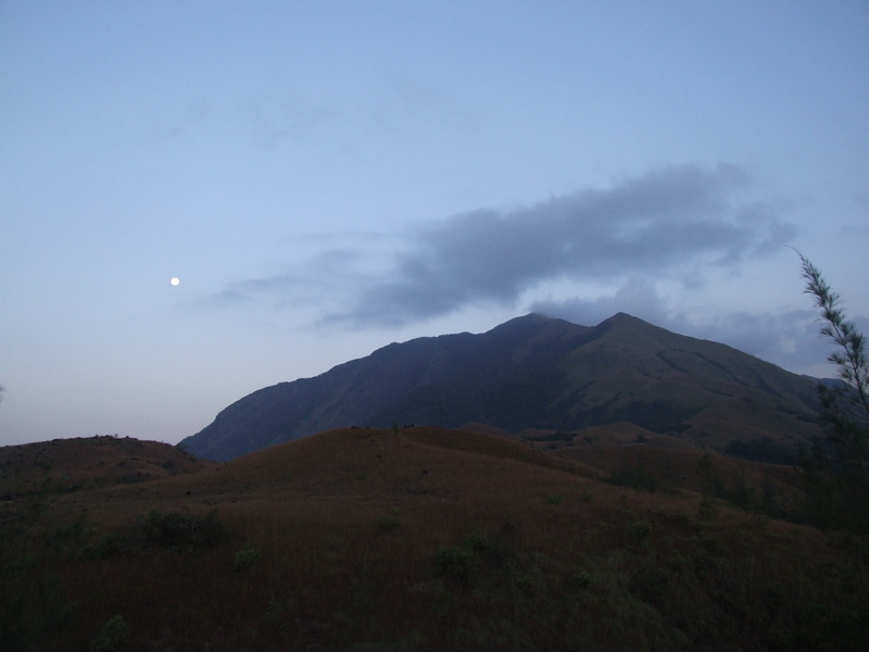 mountain peak, ecology, night, woods, mountain, tree, full moon, summer, nature, tranquil scene, light, forests, countryside, idyllic, green, sky, beauty in nature