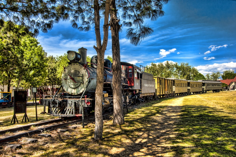 nature, train, built structure, building exterior, mexico, architecture, railway, rail transportation, daytime, railroad track, plant, public transportation