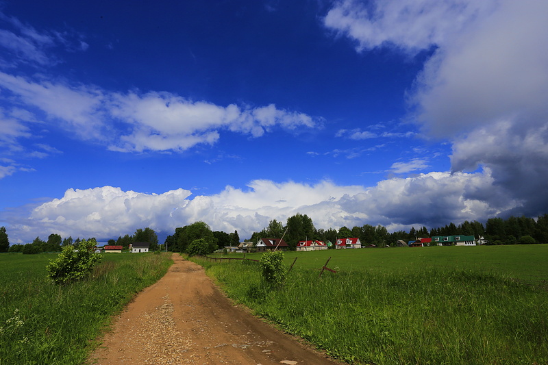 view, backwoods, russia, tranquil scene, the way forward, environment, direction, day, cloud - sky, beauty in nature, grass, scenics - nature, dahl, outdoors