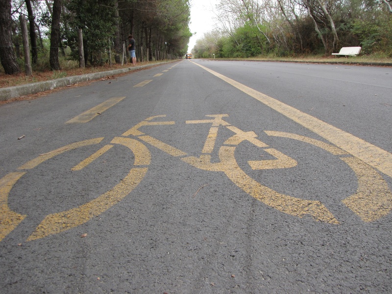 waterfront, signals, nature, bicycle, street, asphalt, guidance, city, lane, symbol, diminishing perspective, bicycles, road, sign, no people, form, outdoors