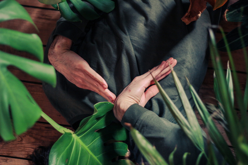 landscape, hands, nature, man, midsection, human body part, farmer, leaf, long, sweatshirt, giving, day, grey, plant part, signals, 5K, wearing, outdoors