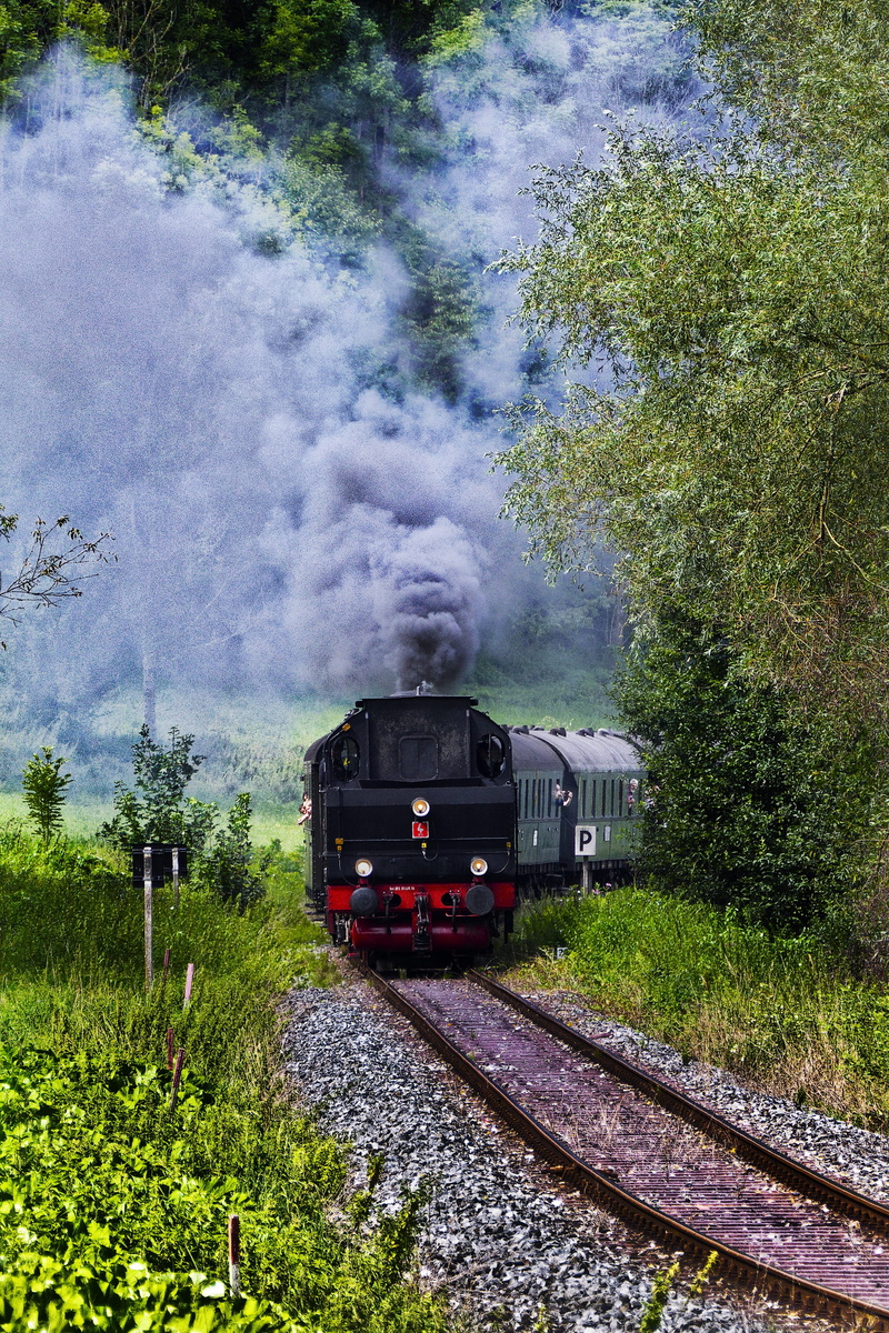 steam train, rail transportation, reichsbahn, smoke - physical structure, water vapor, tourism, on the move, nature, steam, pollution, passenger train tank engine