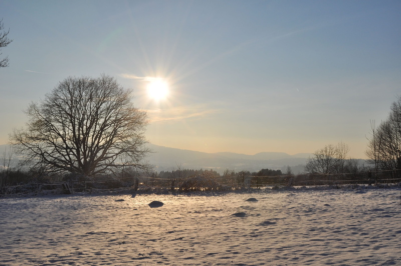 nature, outdoors, twilight, tranquil scene, Beautiful, field, scenics - nature, 2K, sun, blue, tree, sunlight, lens flare, winter, evening, sunbeam, environment