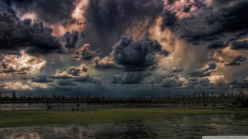 1080P, skies, swamp, mean, dark clouds, trees, hdr, 3d and abstract