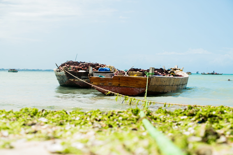tanzania, rowboat, outrigger, shore, gondola, barge, boat, water, mode of transportation, beach, adventure, no people, horizon, outdoors, nautical vessel