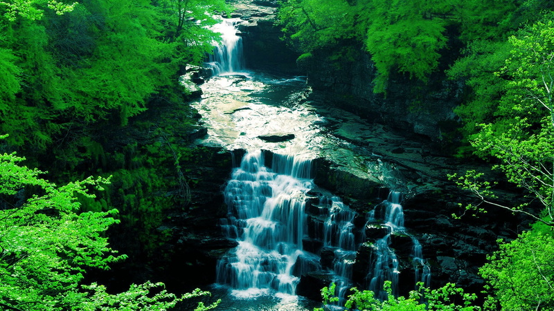 motion, rock - object, landscape, long exposure, tranquility, plant, flowing, tree, land, 1080P, outdoors, flowing water, beauty in nature, waterfalls