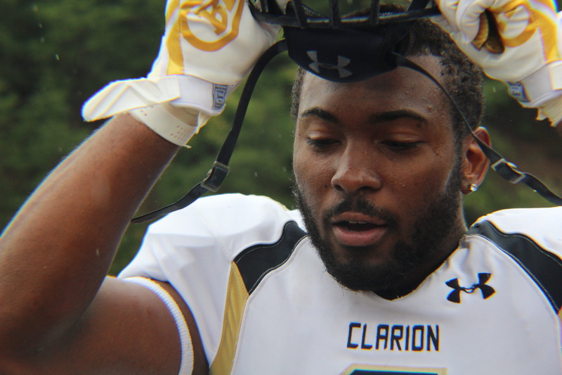 young adult, human arm, blurred background, sport, outdoors, action, facial hair, man, wearing, armour, player, sports clothing, uniform, helmet, focus on foreground