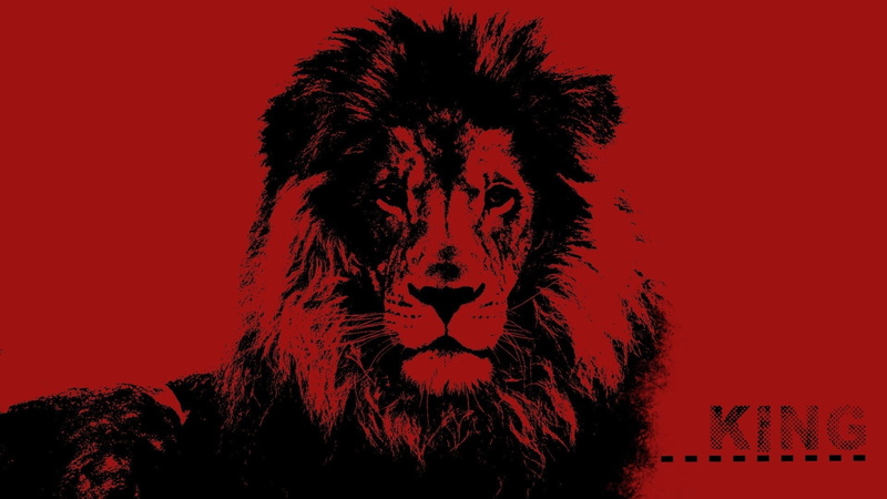 animal body part, portrait, pop art, black, digital composite, painting, one animal, indoors, art and craft, mammal, studio shot, close-up, lion, 1080P