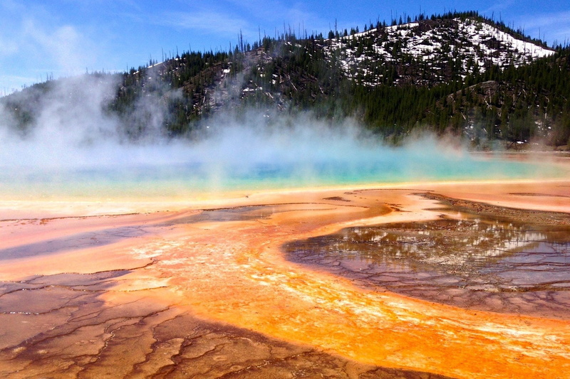 park, grand, 720P, spring, hot, yellowstone, trees, national, prismatic