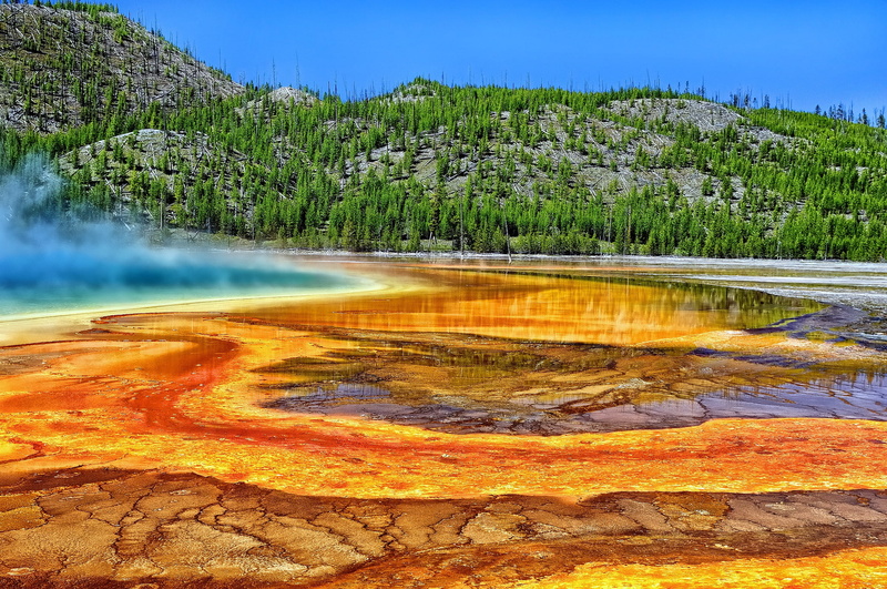 Grand Prismatic Spring, Yellowstone National Park, hot spring, trees, 1080P, Yellowstone, Wyoming