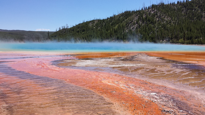 steam, hot spring, pine woodland, Prismatic, land, scenics - nature, water, no people, Grand, nature, outdoors, geyser, geology, environment, Spring, spring