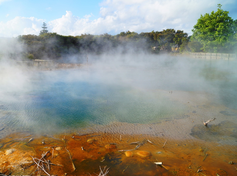 springs, plant, landscape, steam, heat - temperature, hot springs, cloud - sky, zealand, rotorua, coloured water, orange, large, 4K, mist, day, travel destinations