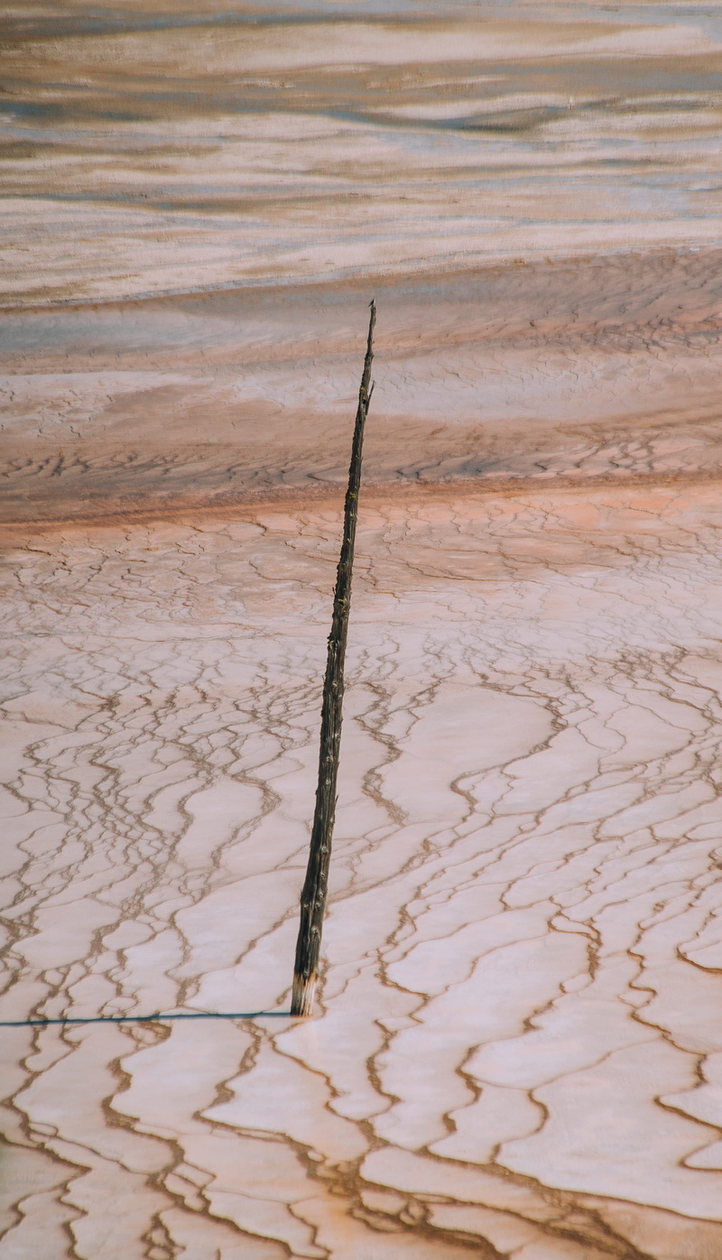 sand Dune, landscape, deserted, tree, 4K, grand prismatic, mud, stick, desert, dry, beach, brown, no People, yellowstone, explore, scene, scenic, national park