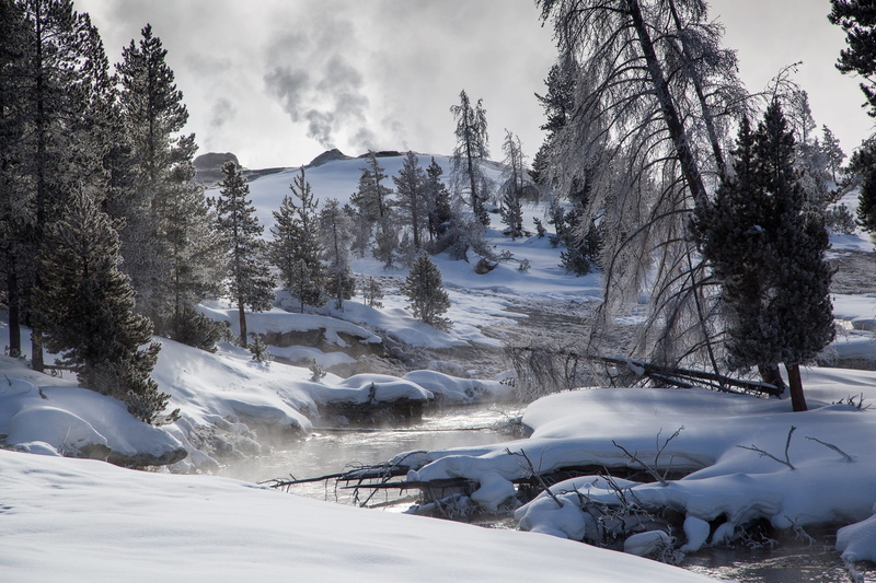 sky, trees, upper geyser basin, winter, non-urban scene, tree, cloud - sky, wyoming, snowcapped mountain, snow, tranquil scene, plant, land, wilderness