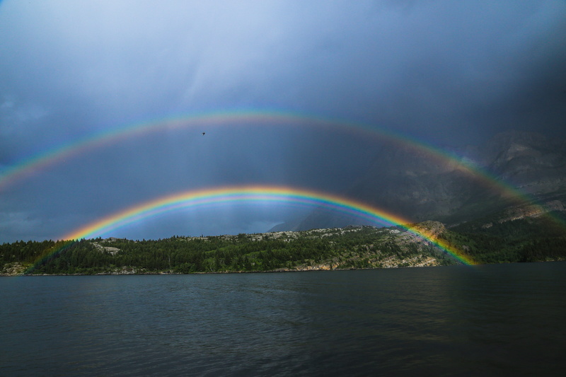 tranquil scene, 5K, no people, nature, beauty in nature, rainbow, body, multi colored, idyllic, across, woods, lake, waterfront, spectrum, water, non-urban scene