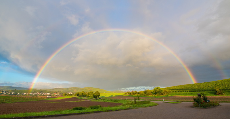 landscape, rainbow, color, beauty in nature, sky, vines, tranquility, scenics - nature, nature, natural spectacle, non-urban scene, double rainbow, environment