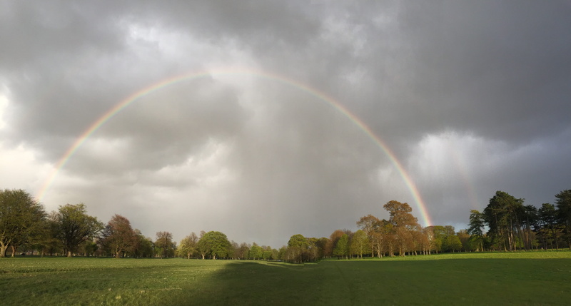 tranquility, Clouds, plant, grass, Light, tree, outdoors, spectrum, Nature, beauty in nature, land, meteorology, sky, multi colored, scenics - nature, double rainbow