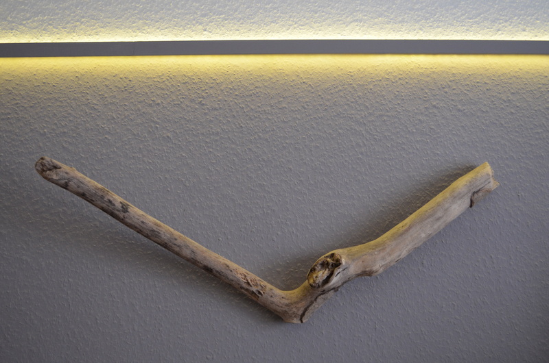 beauty in nature, interior, animal body part, water, antler, lamp, animal, setup, indirect light, high angle view, dry, led, 4K, animal themes, drift wood