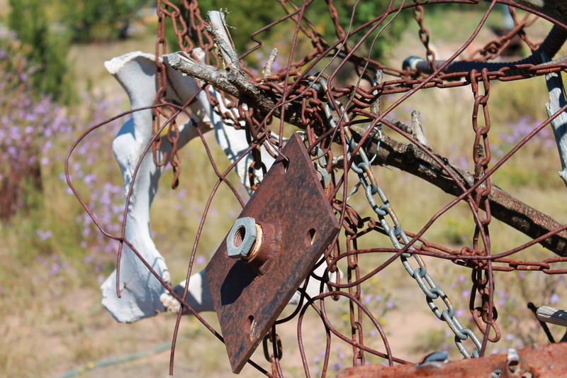 abandoned, scenic, yard art, santa fe, outdoor art, hardware, new mexico, outdoors, desert, sunny, plant, rust, animals in the wild, focus on foreground