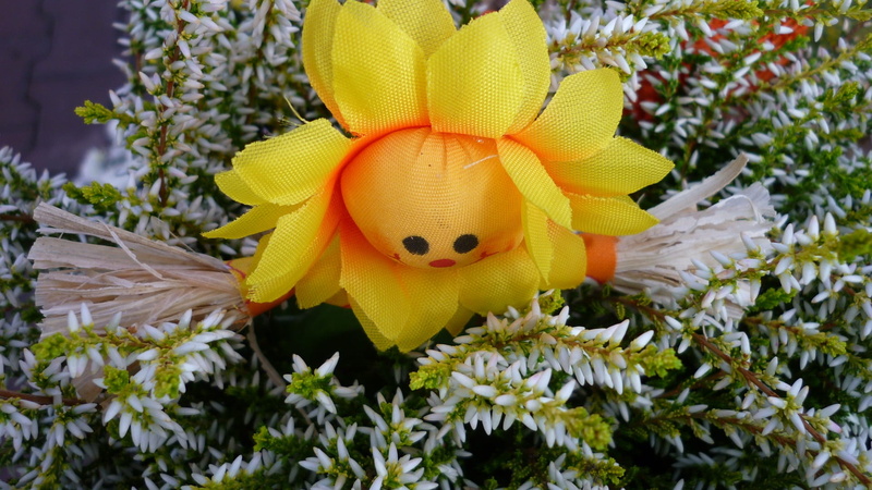 animal wildlife, animal themes, outdoors, flower, yellow, growth, flowers face, petal, animal, freshness, animals in the wild, visionary, flower head, day