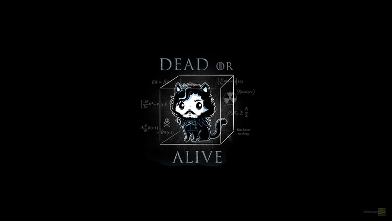 Jon Snow, Game of Thrones, humor, artwork, quantum theory, 1080P, cat
