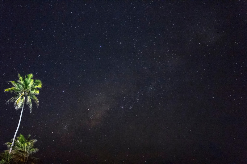 space and astronomy, scenics - nature, astronomy, lights, star, starry, night, coconut, beauty in nature, plant, tranquil scene, tranquility, milky way