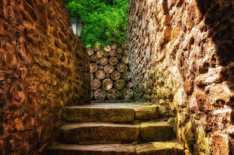 old stairs, wall, romantic, historically, stone, building, gang, outdoors, castle, gradually, history, day, tree, stone wall, stone stairs, building exterior