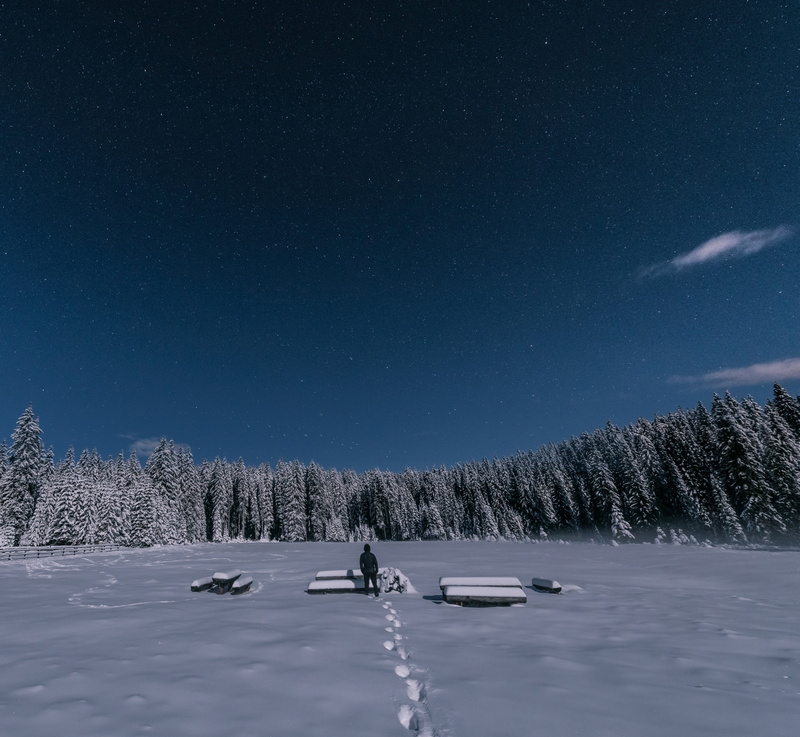 people, snowboarding, man, surrounded, outdoors, non-urban scene, ski holiday, winter, star - space, trees, plants, tranquility, beauty in nature, cold