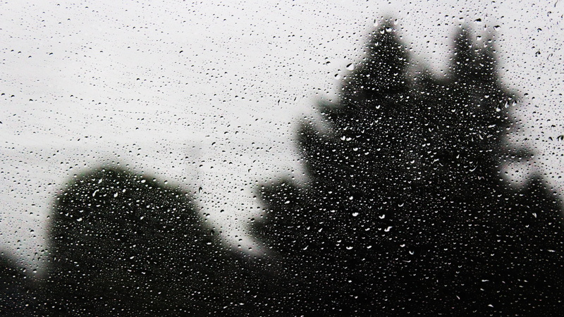 close-up, portrait, 5K, raindrop, transparent, window, one person, items, wet, nature, water, glass - material, silhouette, unrecognizable person, landscape