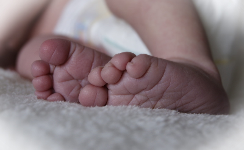 people, selective focus, human leg, young, childhood, low section, beginnings, new life, child, small, feet, newborn, human limb, fragility, fingers, close-up