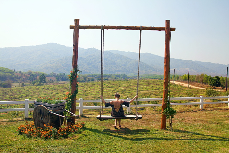 garden, sun, leisure activity, one person, scenics - nature, green Color, view, no People, sunshine, mountain, one man only, full length, day, fence, tranquility