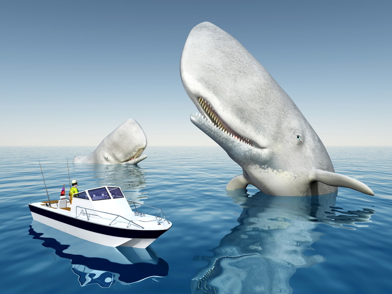 summer, sea, :-), giant, vara, situation, water, man, funny, casalot, blue, whale, white, 2K, fisher, ocean, boat