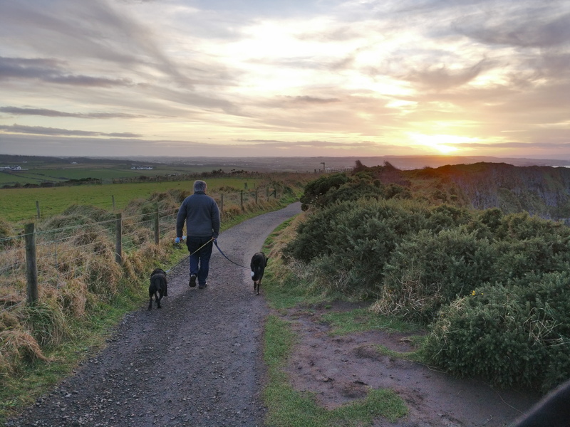 real people, plant, cloud - sky, dog, Sunset, nature, outdoors, pets, sky, transportation, animal, Man, walking, Dogs, man, giants causeway, Walking, 4K