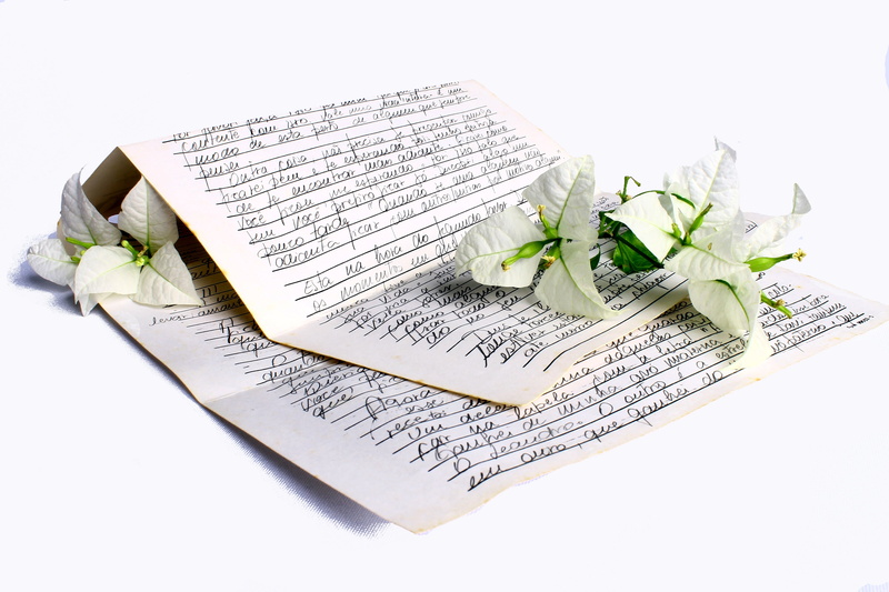 plant, wedding, flowers, cut out, white background, enamorado, no people, communication, studio shot, nature, finance, love-letter, indoors, paper, letter