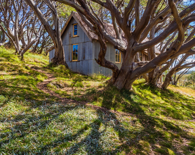 hut, house, landscape, cottage, plant, no people, growth, architecture, shack, australia, building exterior, day, tranquil scene, housing, trunk, built structure