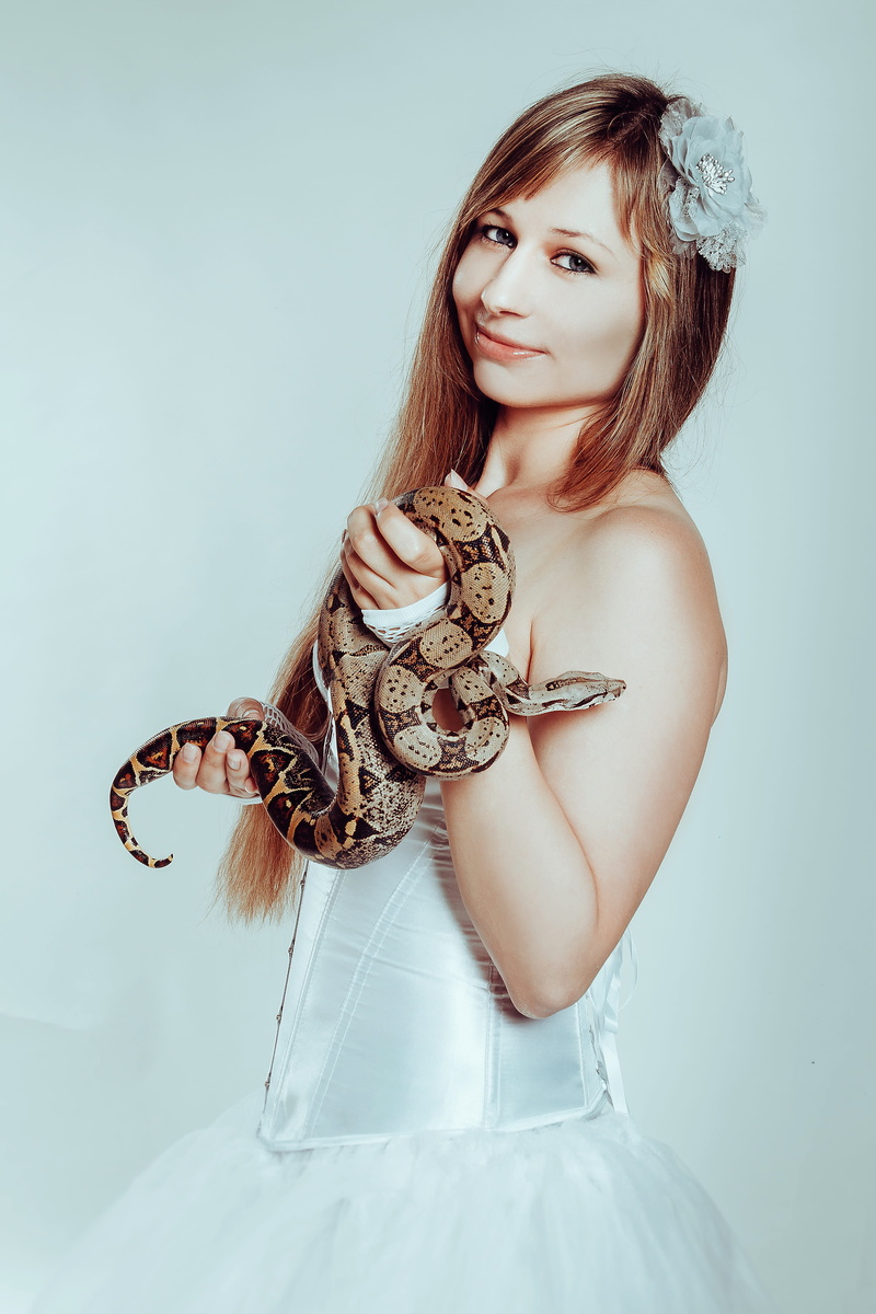 studio shot, adult, with a snake, one person, beauty, three quarter length, snake, young adult, boa constrictor, bastards, real people, hand, creeping things