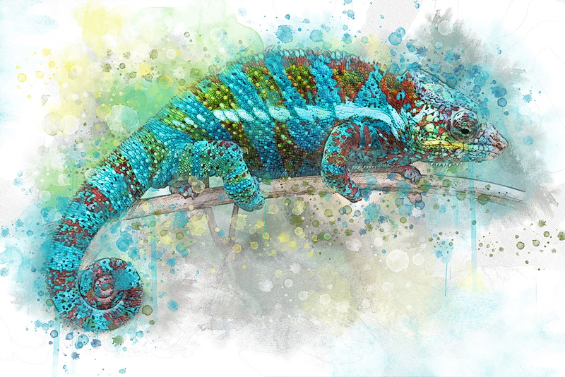 celebration, plant, motion, creeping things, lizard, architecture, water, digital composite, jungle, artwork, close-up, cloud - sky, reptile, design, pattern