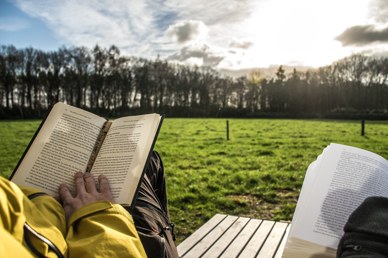 grass, relax, sun, nature, field, sky, plant, real people, one person, take it easy, publication, chair, park bench, human body part, 5K, focus on foreground